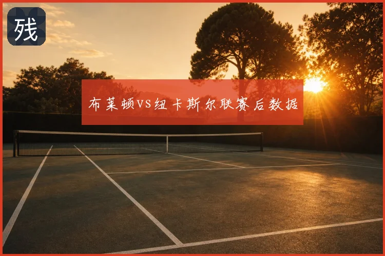 布莱顿vs纽卡斯尔联赛后数据
